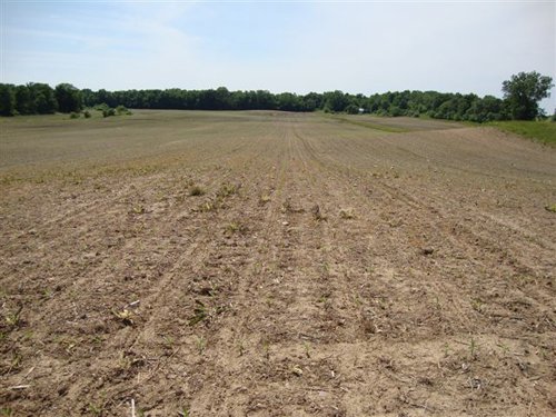 Property photo 8 - 120 Acres Offered in 9 Tracts - Real Estate & Personal Property Auctions